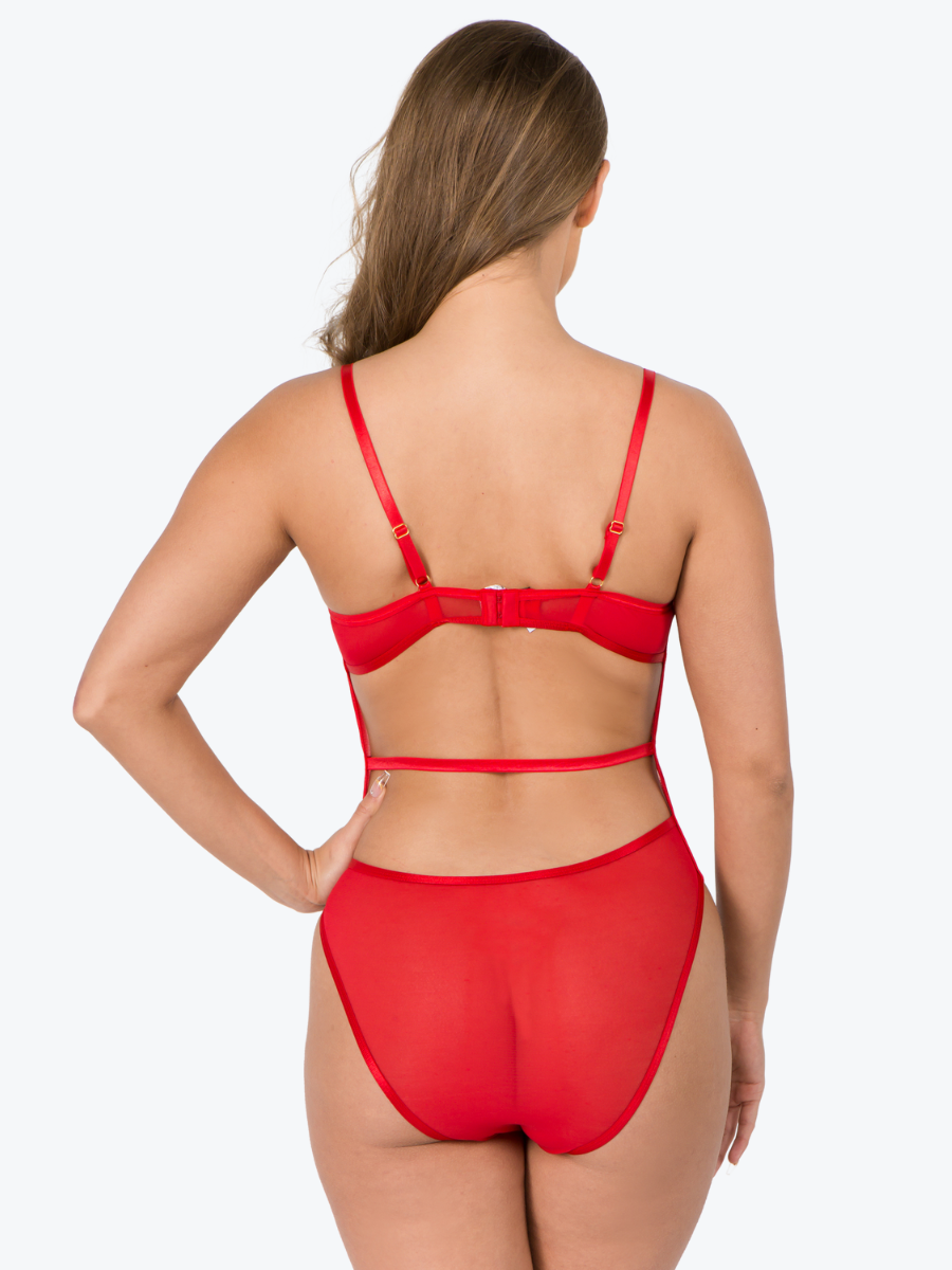Gabriella Underwire Cage Sheer Teddy