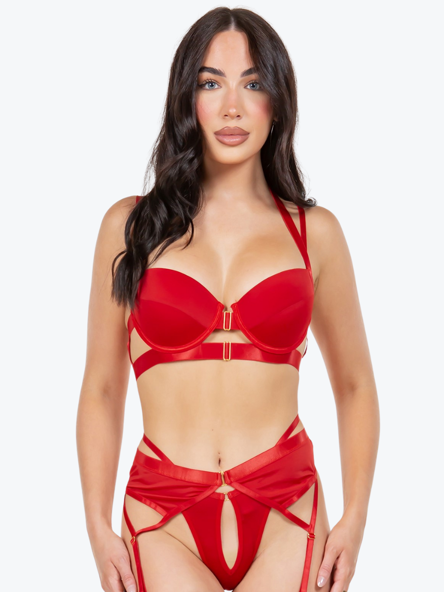Alyssa Cage Underwire Bra Garter Set