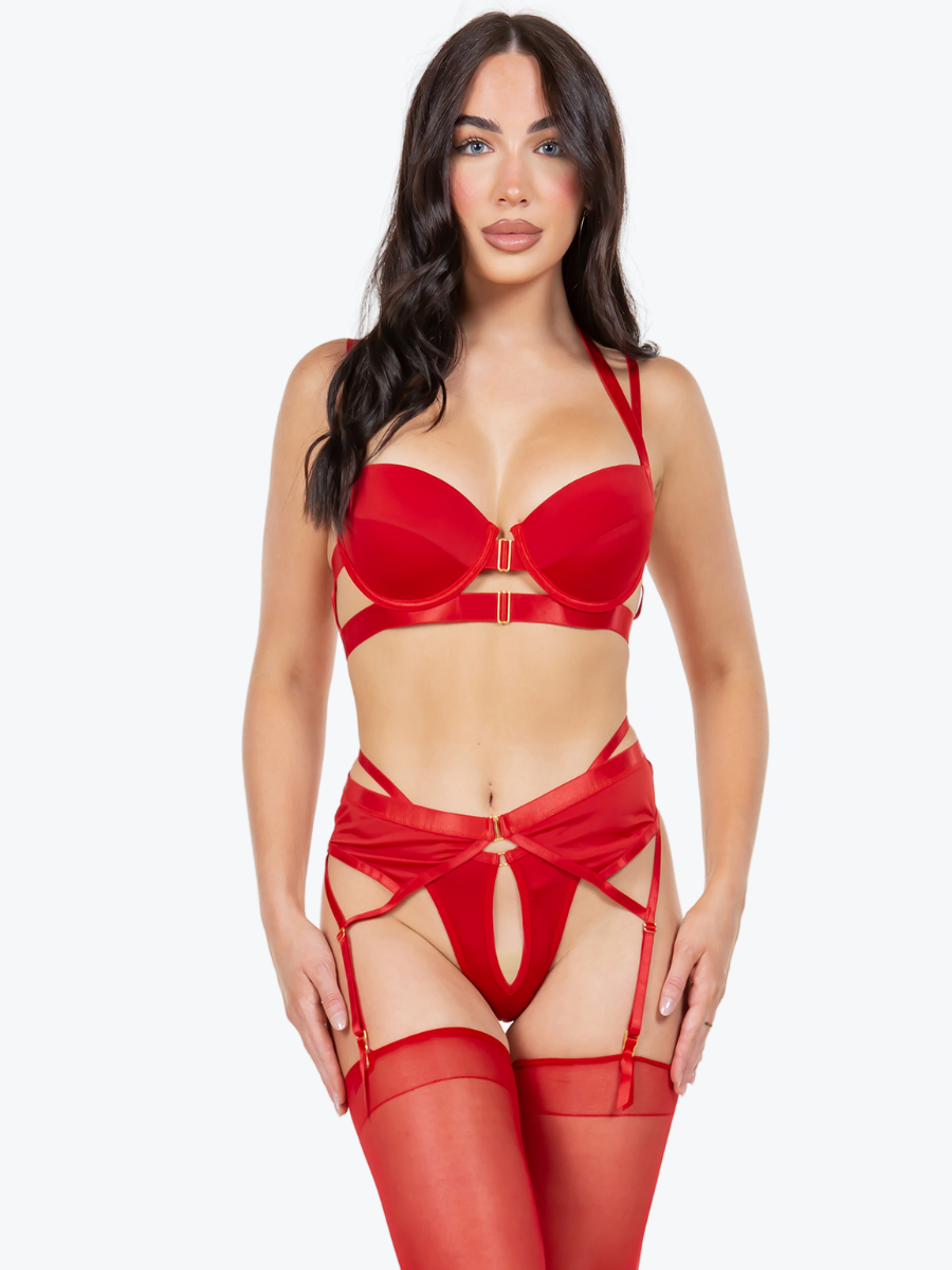 Alyssa Cage Underwire Bra Garter Set