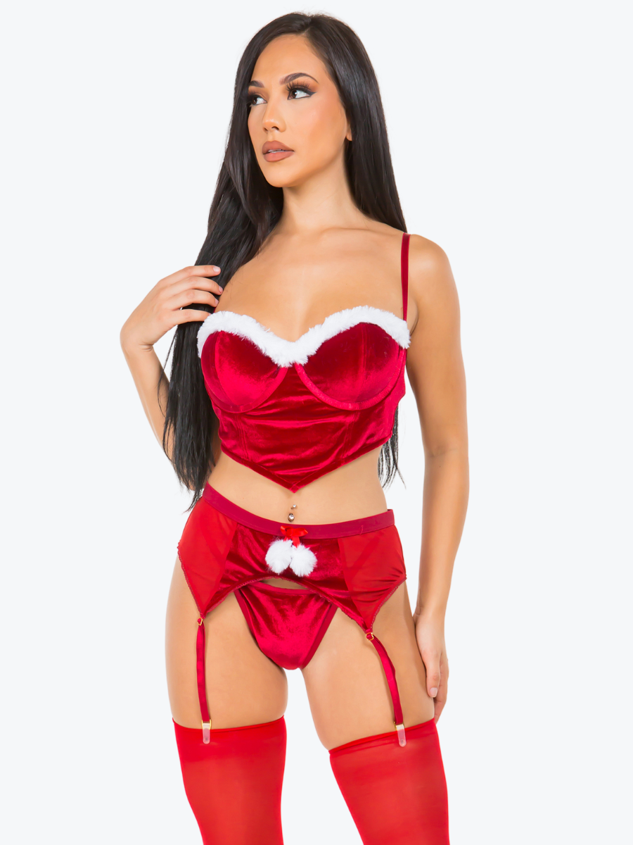 Regina Santa Underwire Bra Garter Set