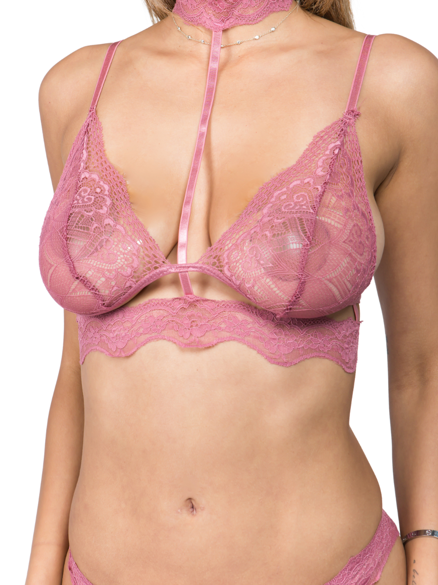 Tamara Lace Harness Bra Set